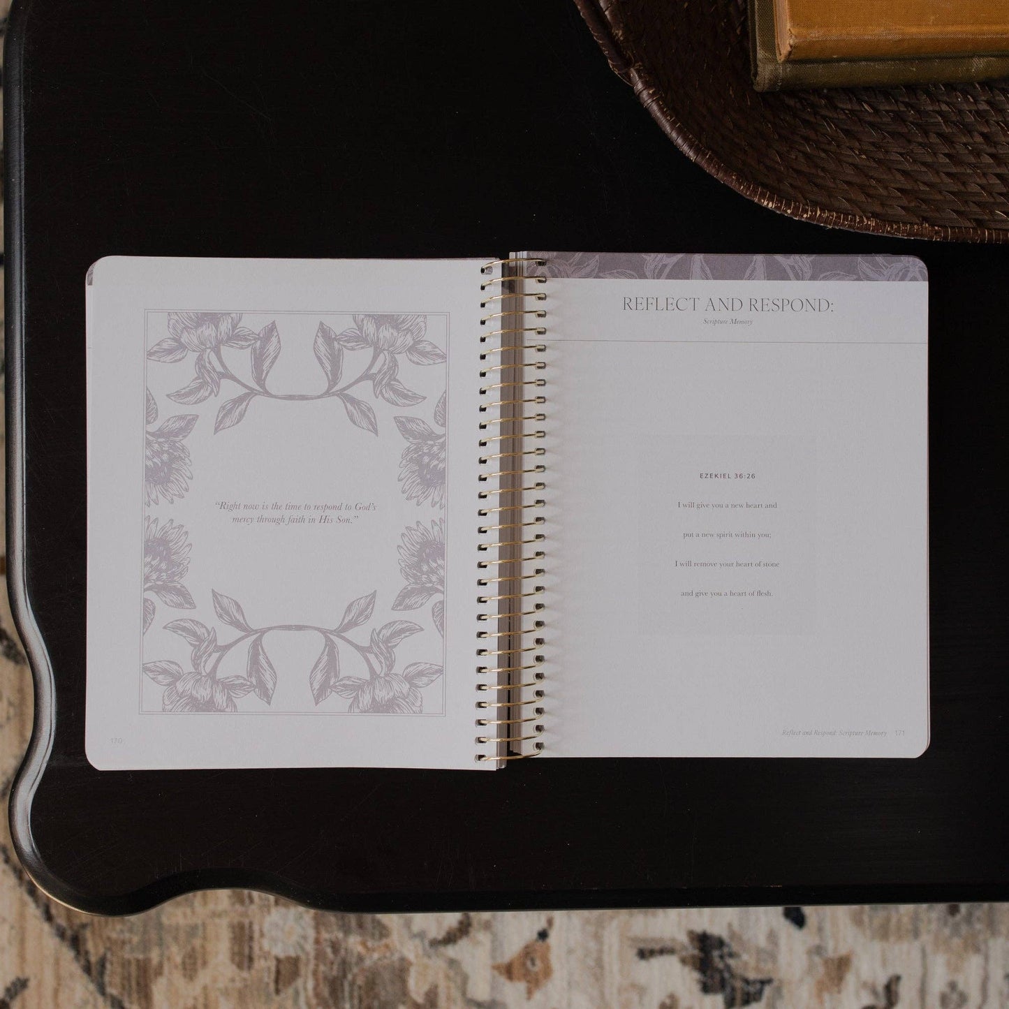 A Year in the Bible | Volume 3