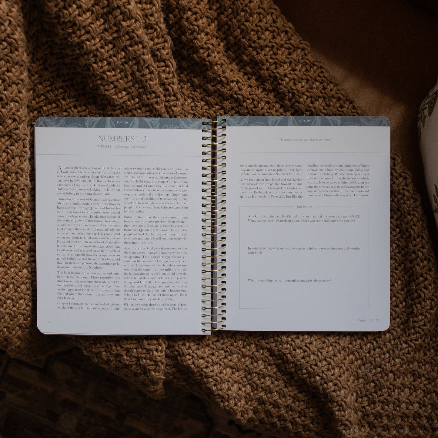 A Year in the Bible | Volume 1