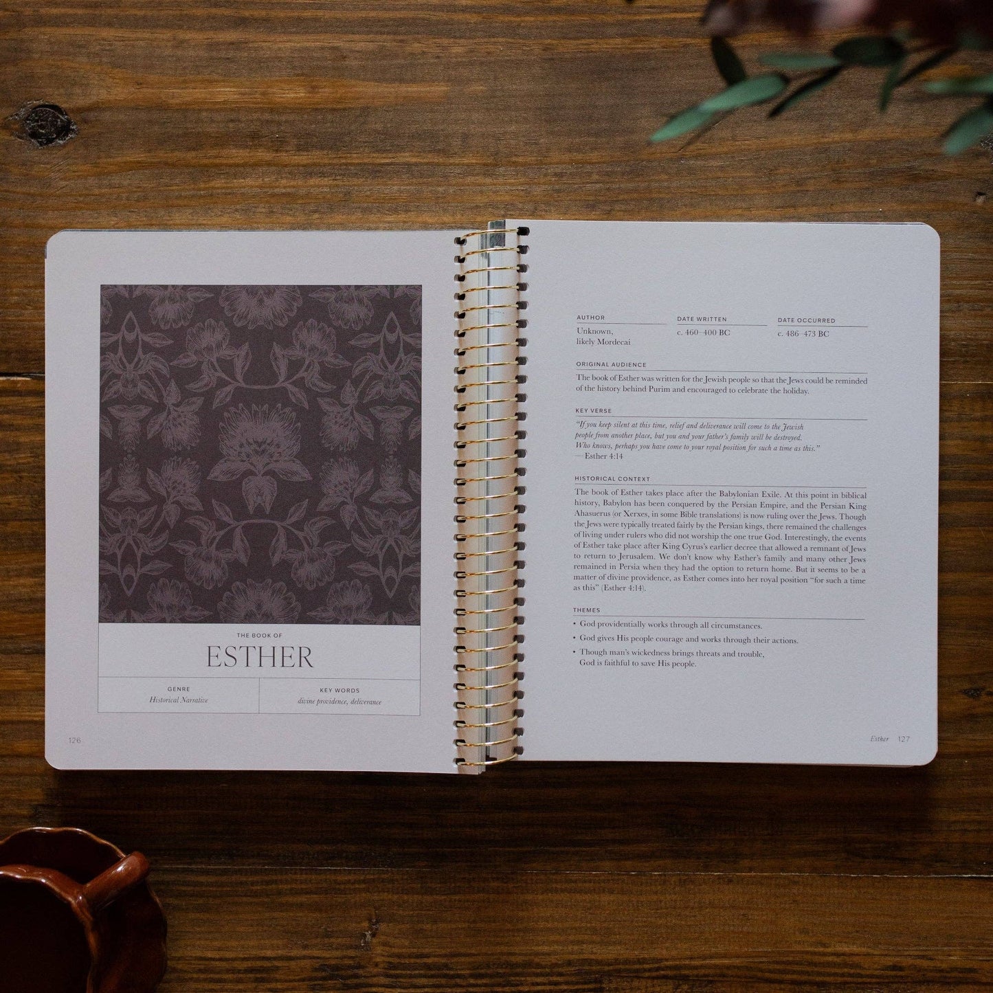 A Year in the Bible | Volume 2