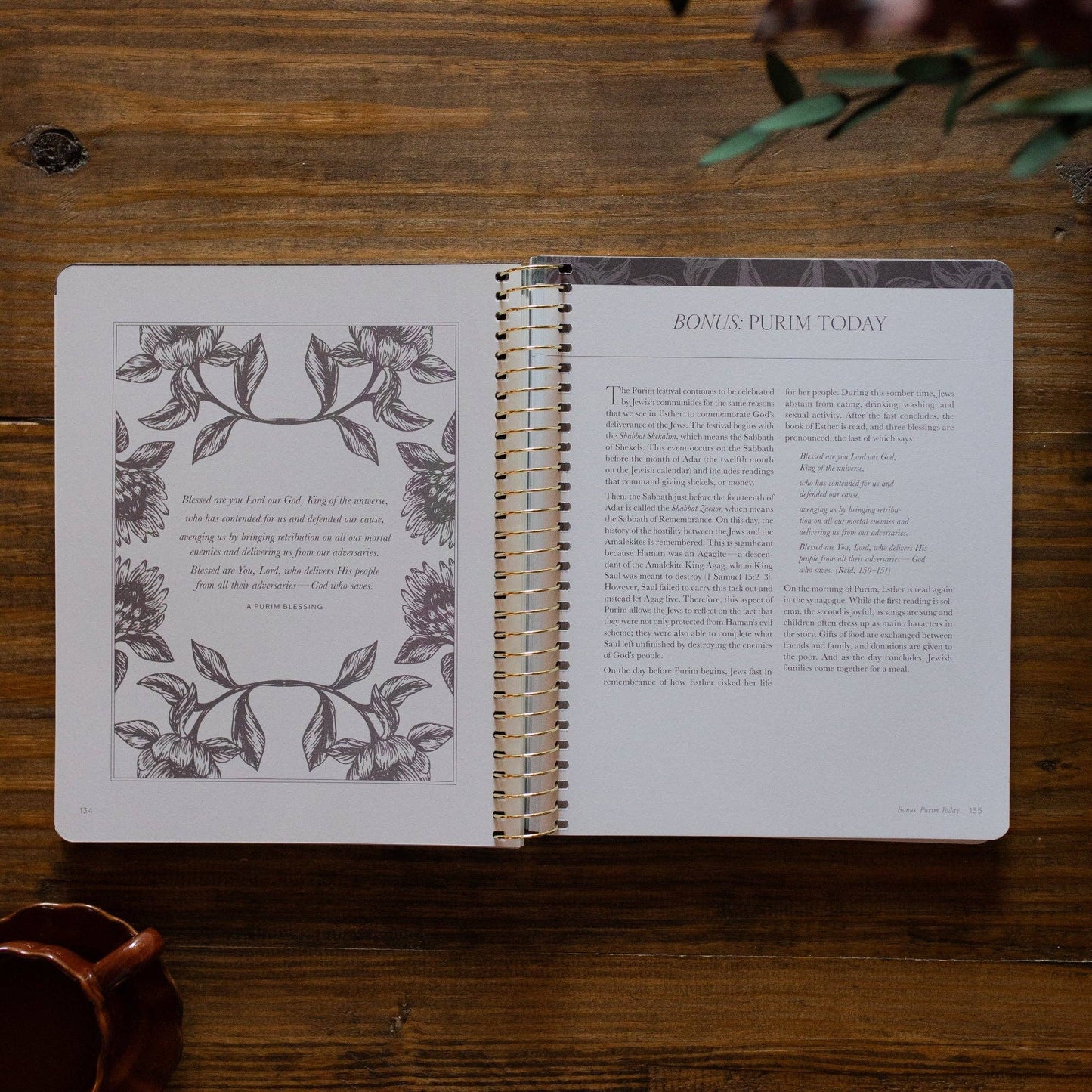 A Year in the Bible | Volume 2