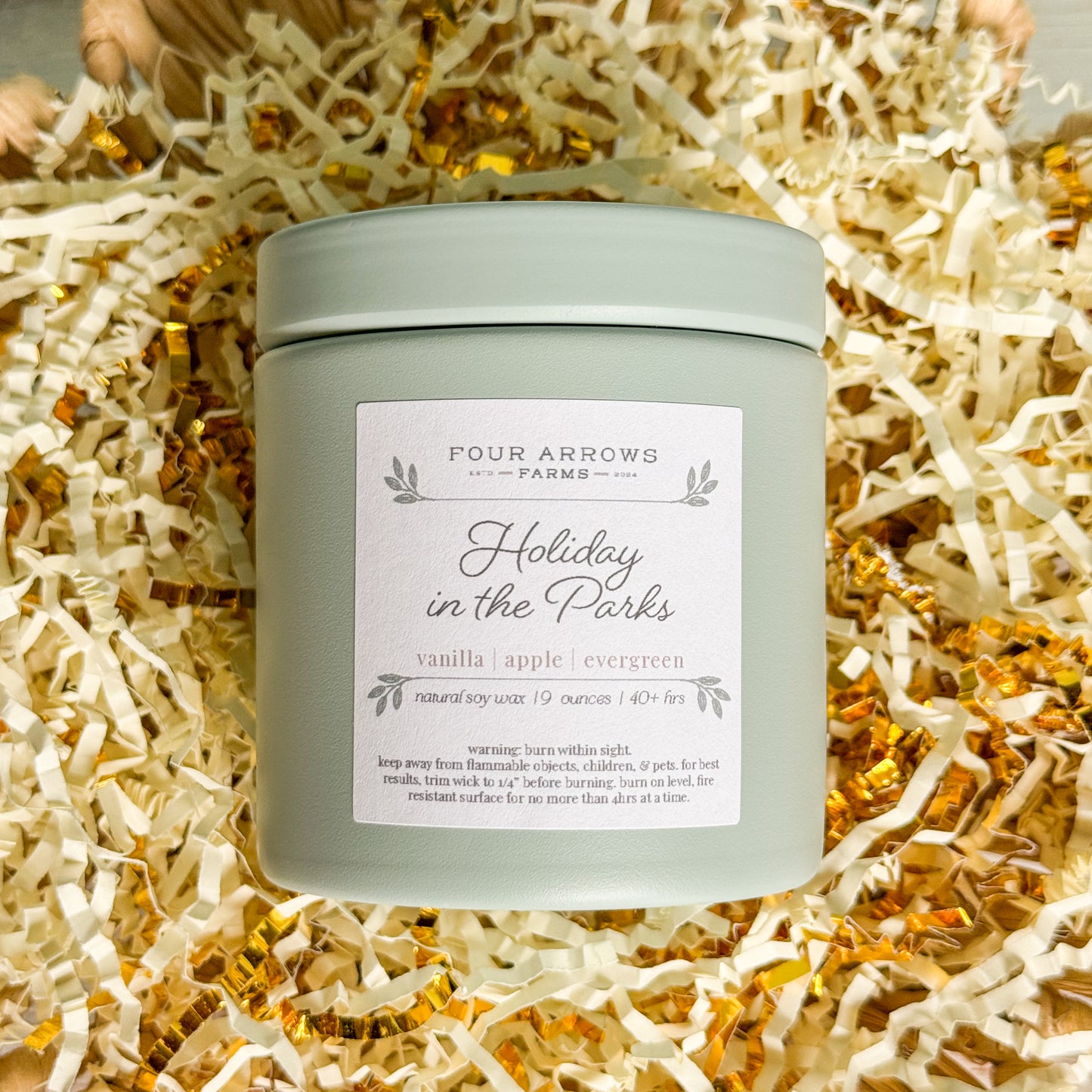 Holidays in the Parks | 9oz Candle