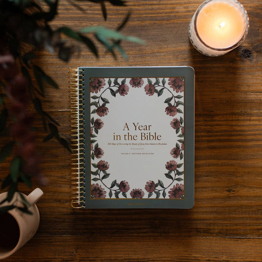 A Year in the Bible | Volume 4